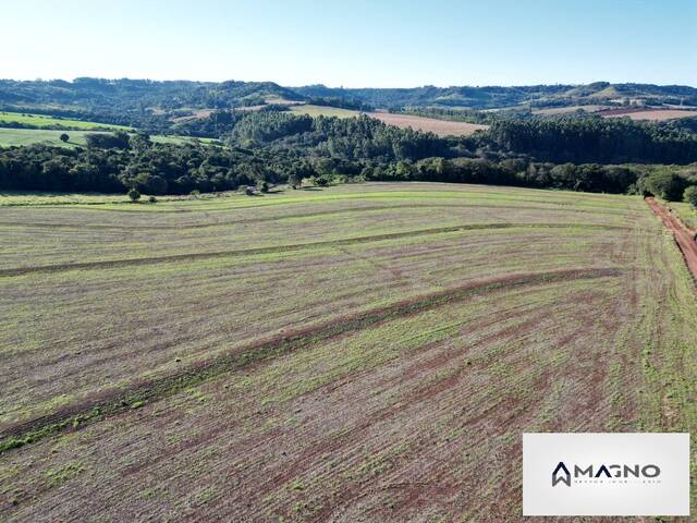 #14 - Sítio para Venda em Santa Tereza do Oeste - PR - 3