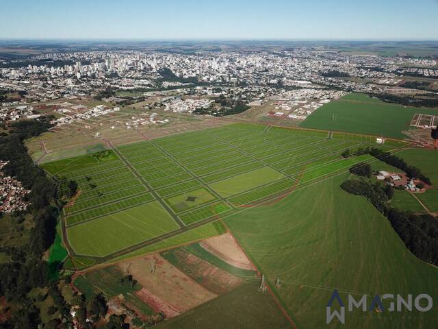 #247 - Terrenos para Venda em Cascavel - PR - 1